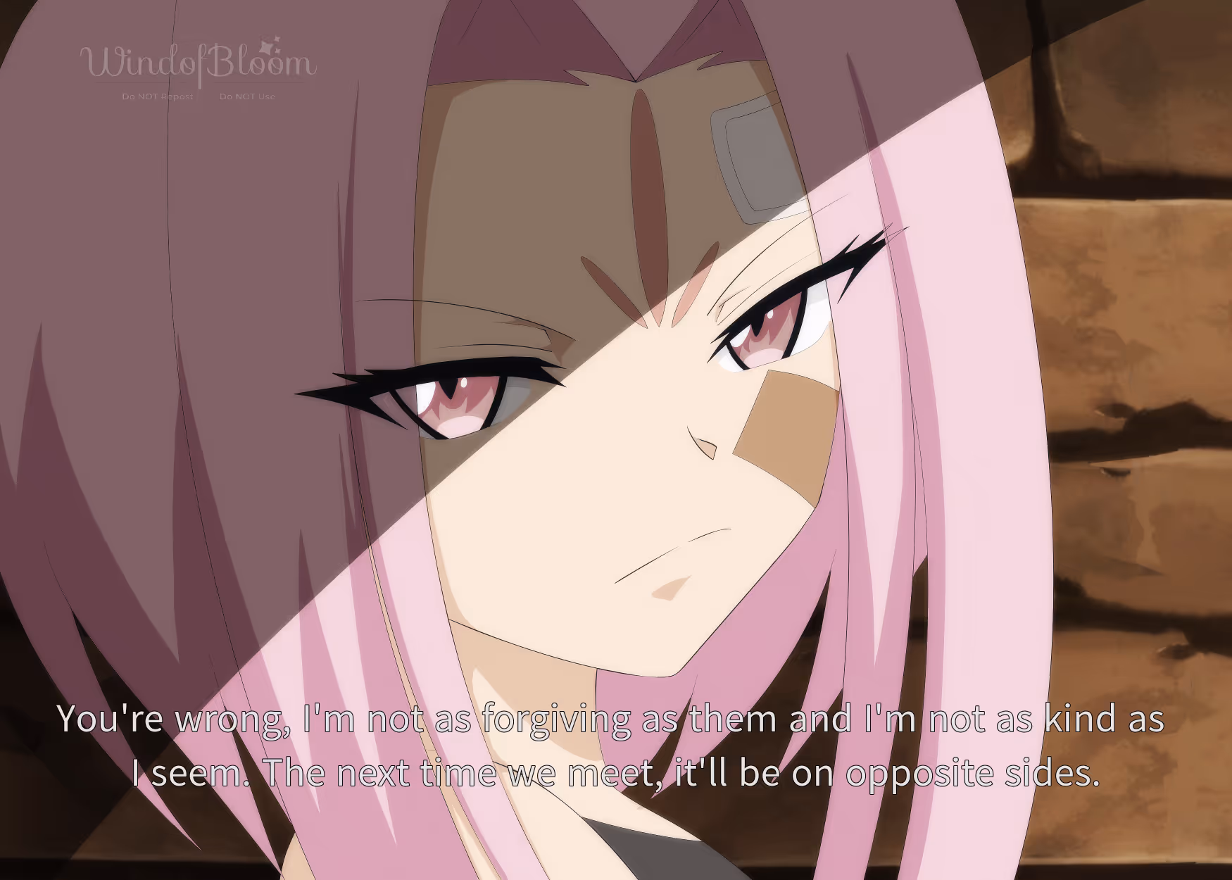 Image from Shaman King album