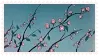 animated images of sakura flowers blooming