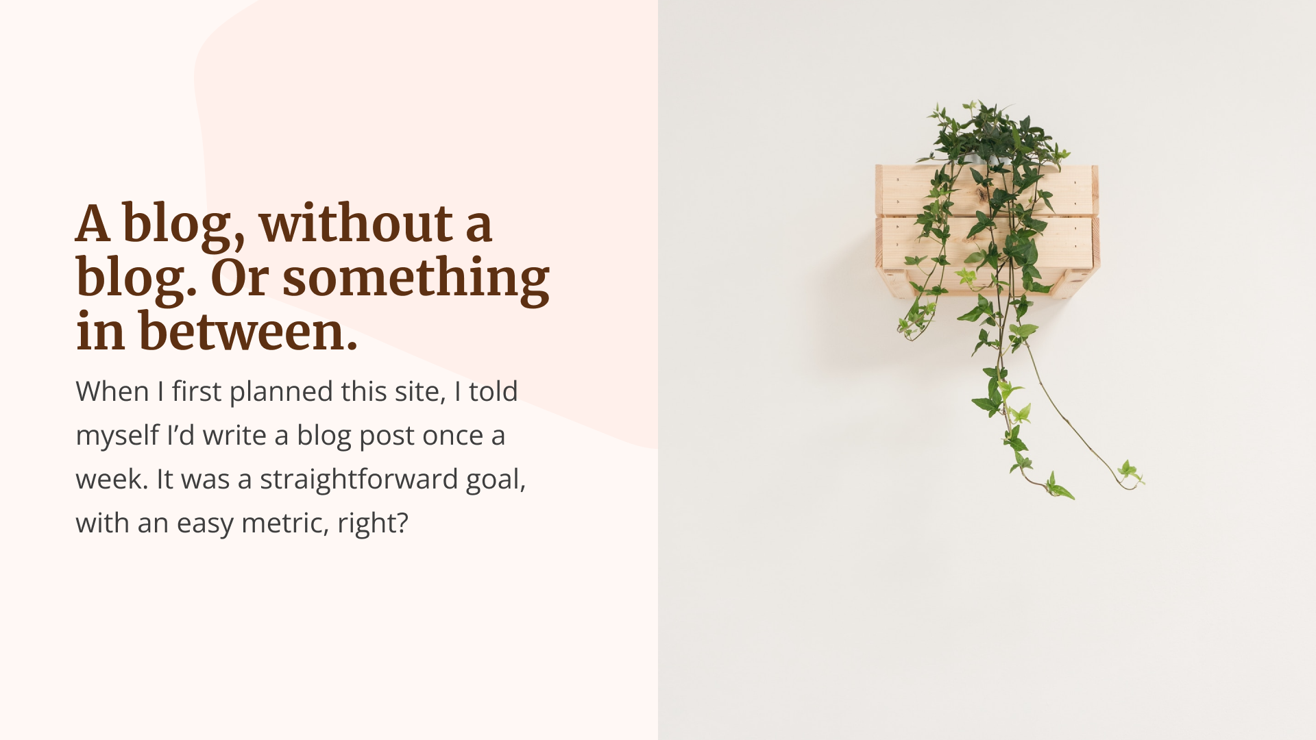 Blog cover with the title, a short summary and an image to the right of a plant hanging.